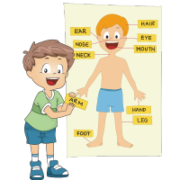 Con hãy hoàn thành bài tập của Level 1 – Unit 4A: Body parts (UPDATED ...