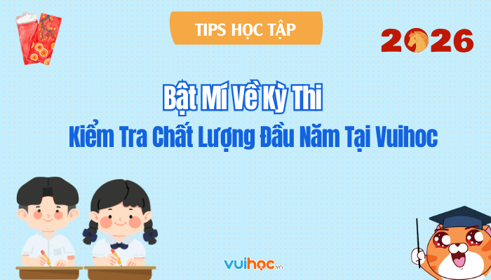 Bật Mí Về Kỳ Thi Kiểm Tra Chất Lượng Đầu Năm Tại Vuihoc